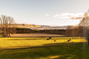 Villa | 20 chambres, accès à Internet haute vitesse