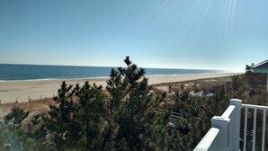A beach view with a wooden fence, pine trees, and a clear sky. - 5 Bedroom Oceanfront on a private beach (Bethany Beach)