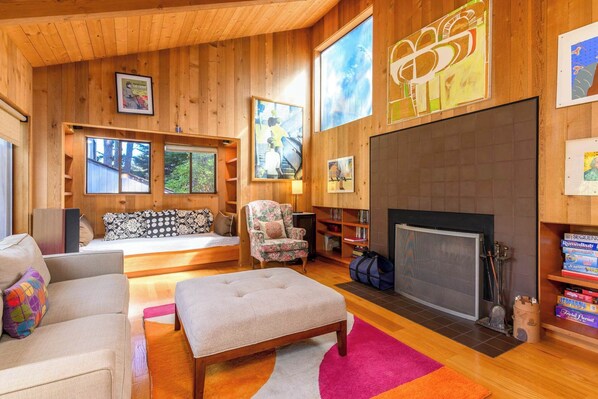 TV, fireplace, books