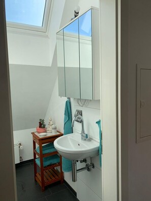 Dusche, Haartrockner, Handtücher, Seife