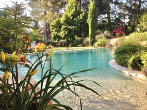 Surrounded by lush greenery, this pool area offers a tranquil escape.