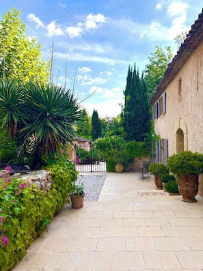 A courtyard with stone paving, potted plants, and a metal gate.
