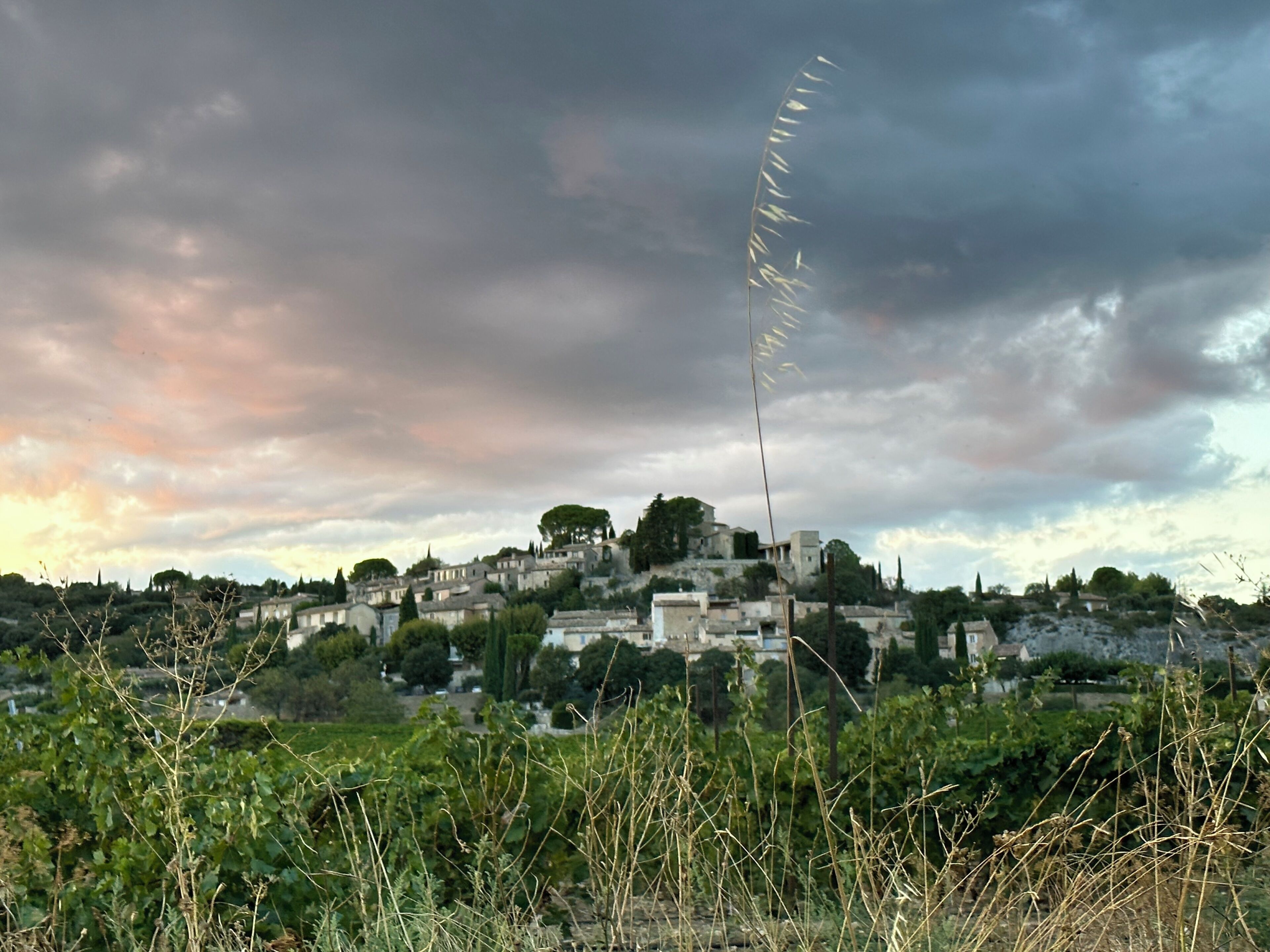 A hillside settlement with buildings and vegetation.