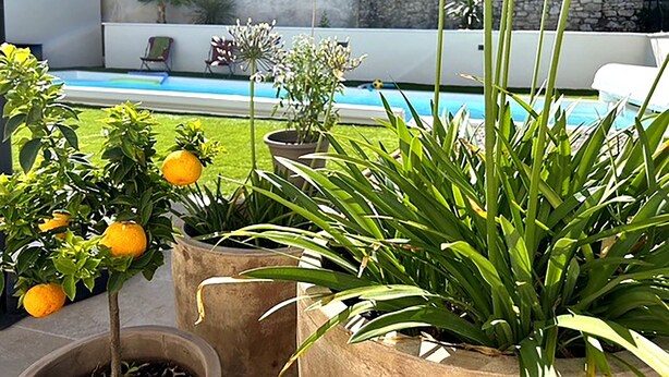 A pool area with potted plants and a clear view of a building in the background.