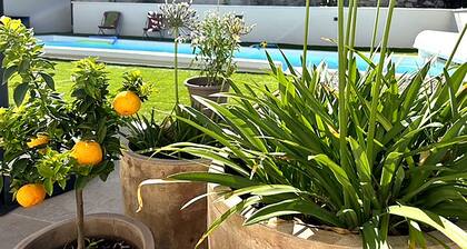 Gßte en Provence avec piscine, à proximité du Mont-Ventoux