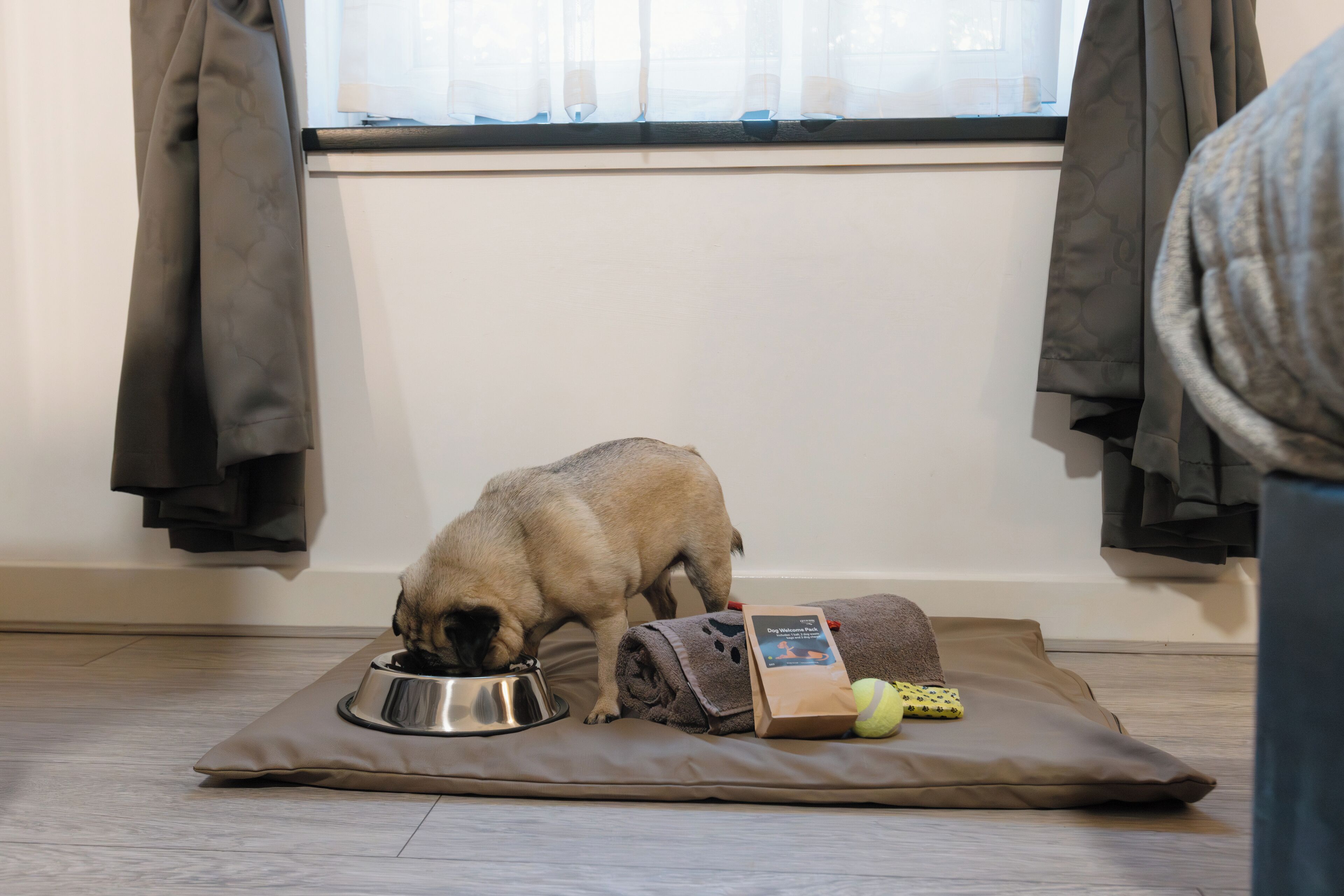 Un perro comiendo de un plato de metal sobre una alfombra, con una toalla, una bolsa y una pelota de tenis cerca.