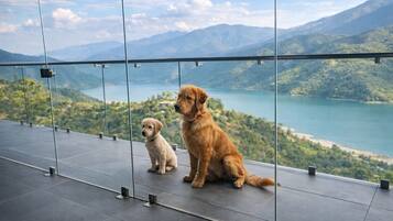 Family Cottage | Balcony