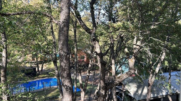 Un área boscosa con árboles y una valla azul.