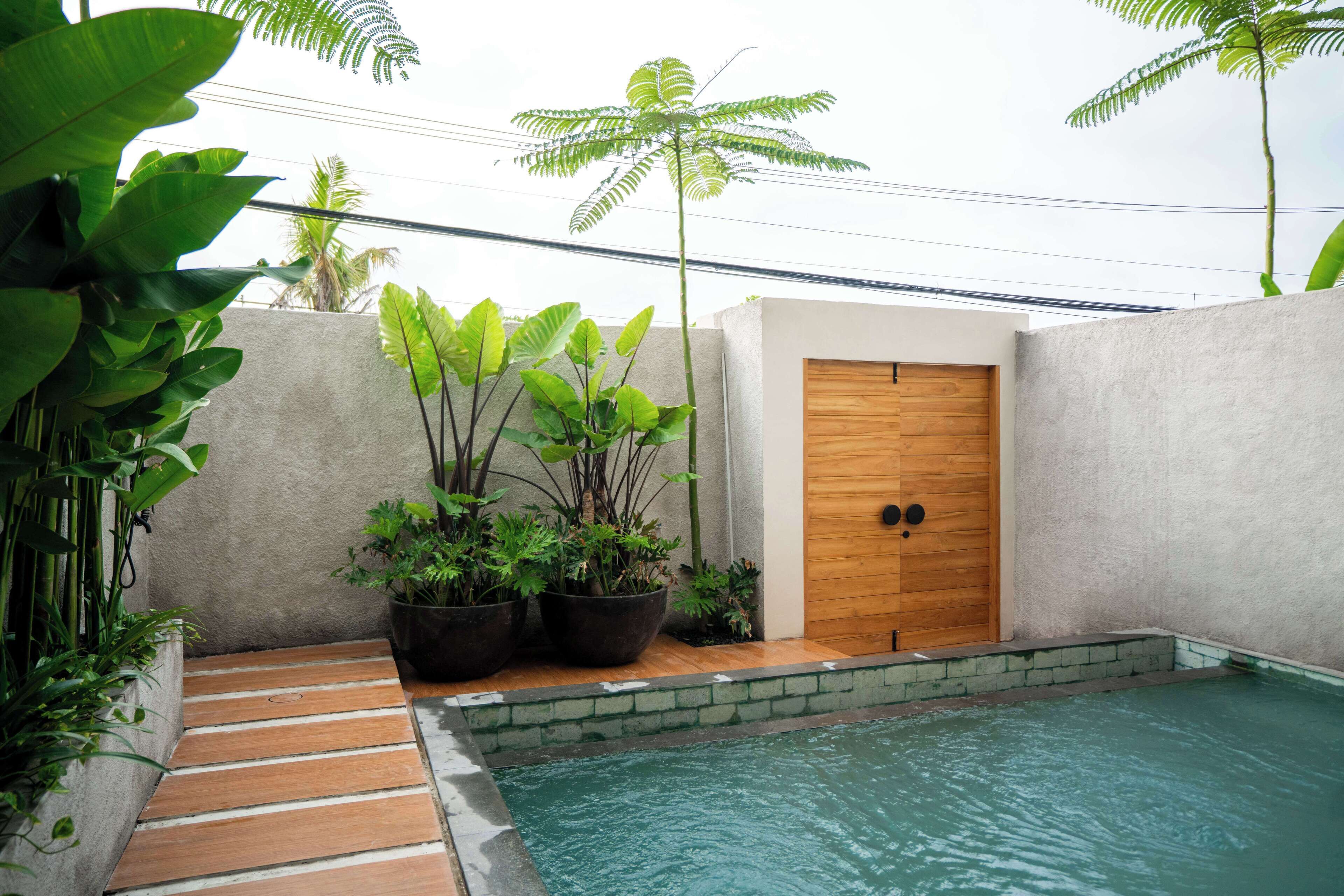 Una zona pequeña con piscina, una puerta de madera, plantas en macetas y un muro de hormigón.