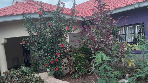 Una casa con techo de tejas rojas, un jardín con diversas plantas y flores, y una ventana con rejas.