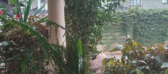 Caren Cottages & Airbnb Kitale