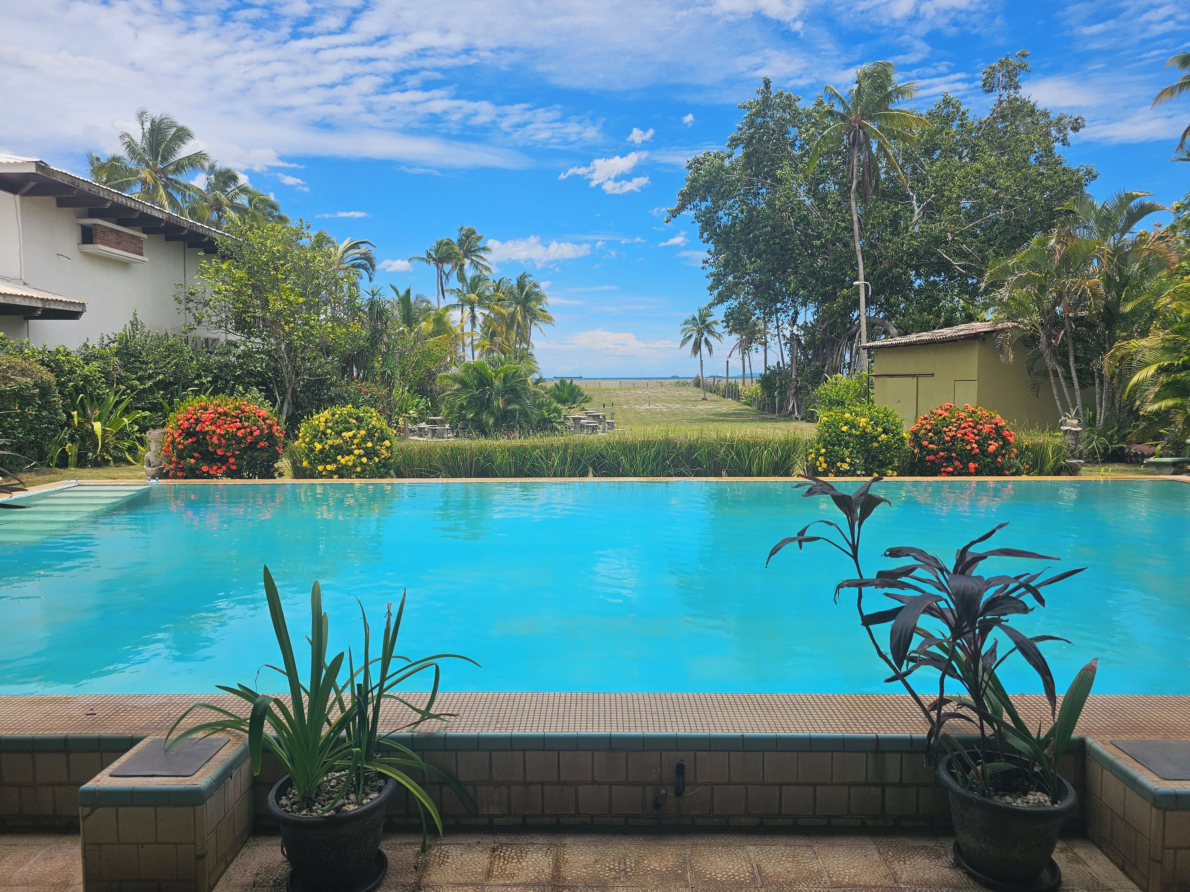 A swimming pool with a tiled edge, surrounded by potted plants and a view of a grassy area with palm trees.