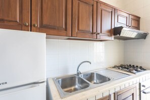 Fridge, oven, stovetop, cookware/dishes/utensils