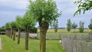 A row of trees with a wooden fence and a bench in a grassy area. - Apartment in Heist Near the Beach (Knokke-Heist)