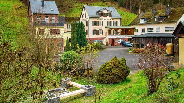 A traditional European building with a central entrance, surrounded by lush greenery and a hilly backdrop. - Winery Retreat in Germany With Wine Cellar (Sankt Goar)