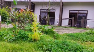 Um edifício com design moderno, um caminho pavimentado e uma área gramada com plantas.
