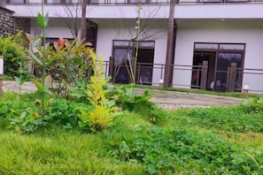 A building with a modern design, a paved pathway, and a grassy area with plants. - Xinhua Hotel Fairy Mountain (Chongqing)