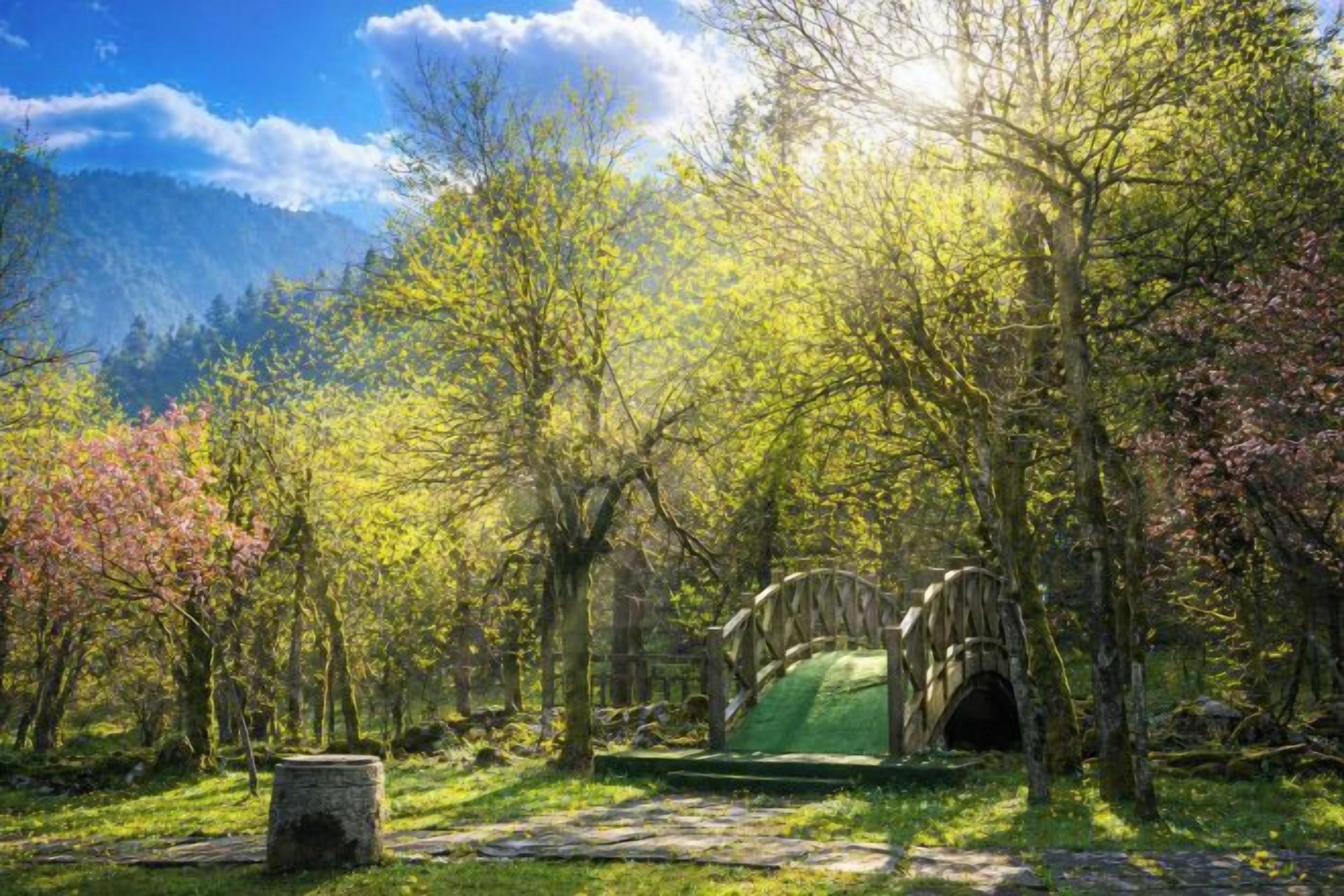 Un área boscosa con un puente de piedra y una estructura similar a una carpa verde.