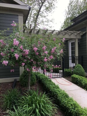 House, 5 Bedrooms, Smoking, Patio | Garden - Third Coast Hideaway - Saugatuck - Douglas Downtown Area - Spacious & Spotless (Douglas)