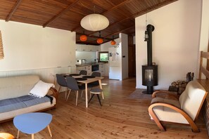 Una televisión, una chimenea