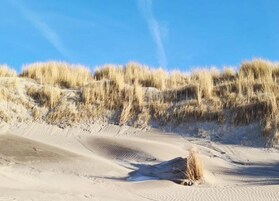 Vista desde la propiedad