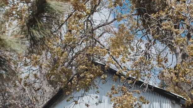 Un edificio a due piani con un balcone, circondato da alberi.