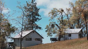 Una baita rustica con tetto in metallo, immersa tra alberi alti e una collina erbosa.