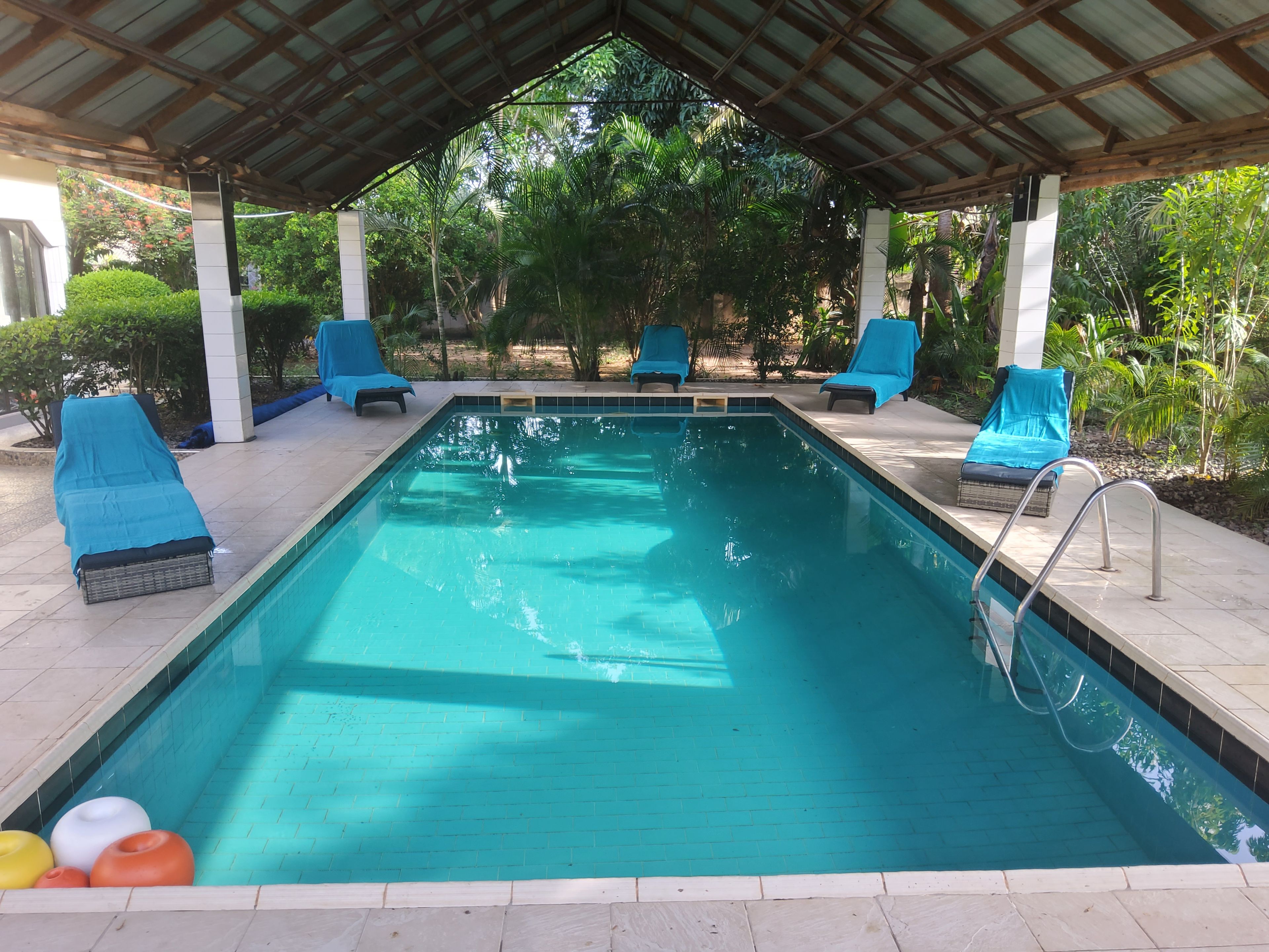 A rectangular swimming pool with a tiled edge, surrounded by lounge chairs with blue covers, a metal ladder, and a covered area with a metal roof.