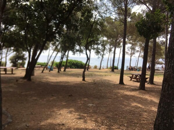 Overnatningsstedets område