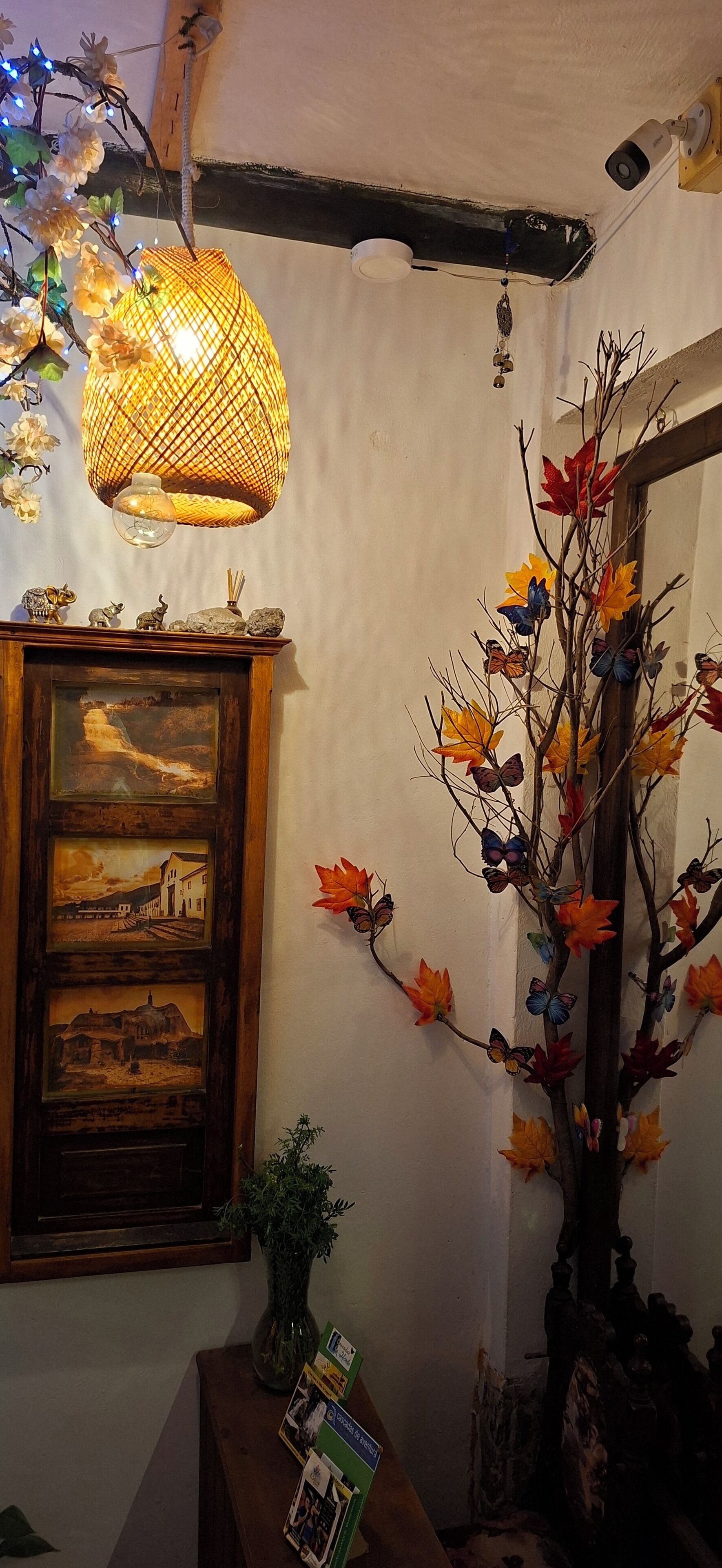 A room with a traditional lamp, a wall-mounted picture, a decorative tree with butterflies, and a small table with brochures.