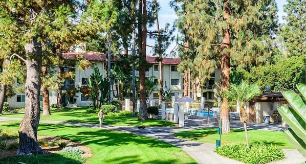 Experience a traditional hotel with a central entrance, lush green surroundings, and a swimming pool area.