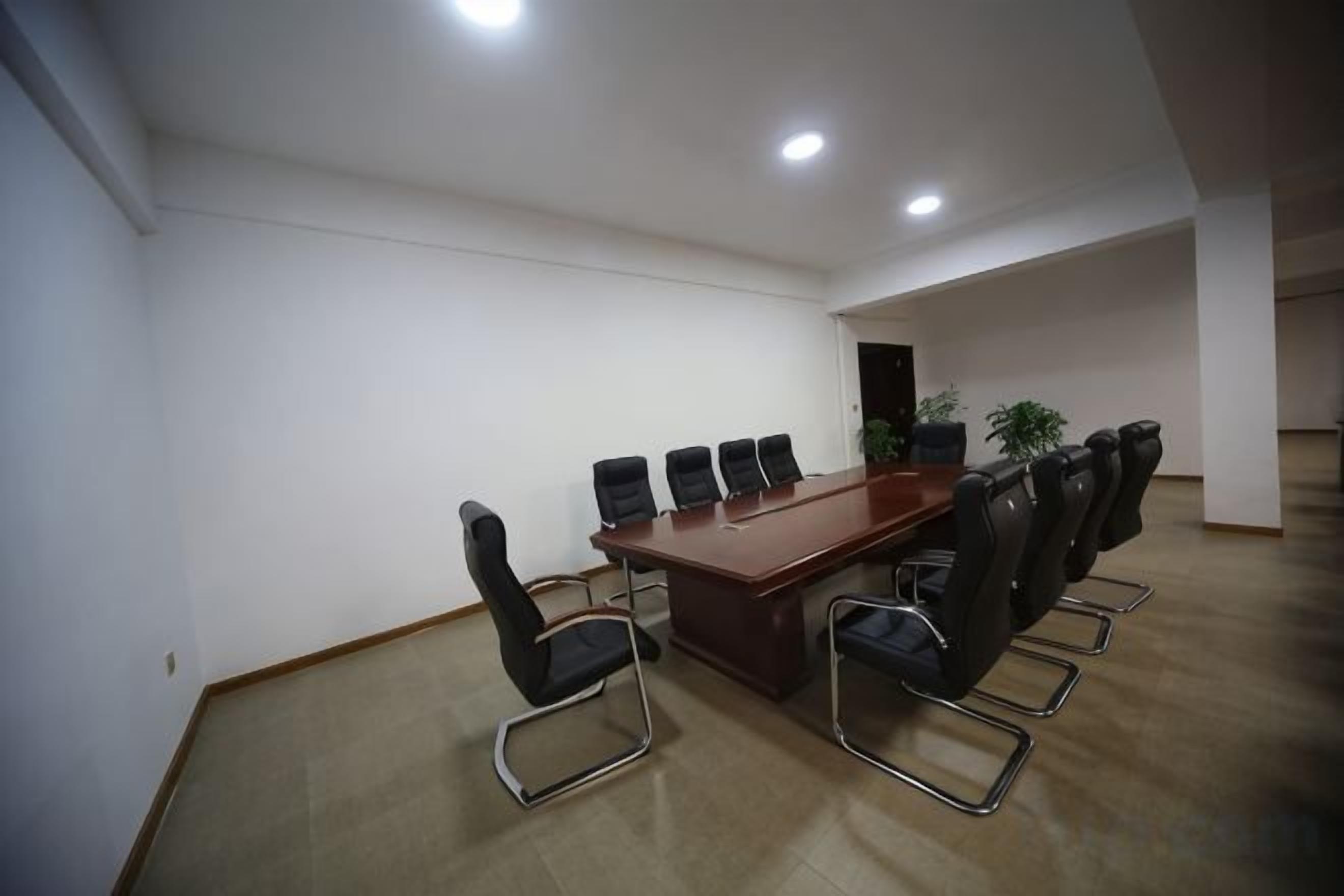 A conference room with a long table, six chairs, and a potted plant.