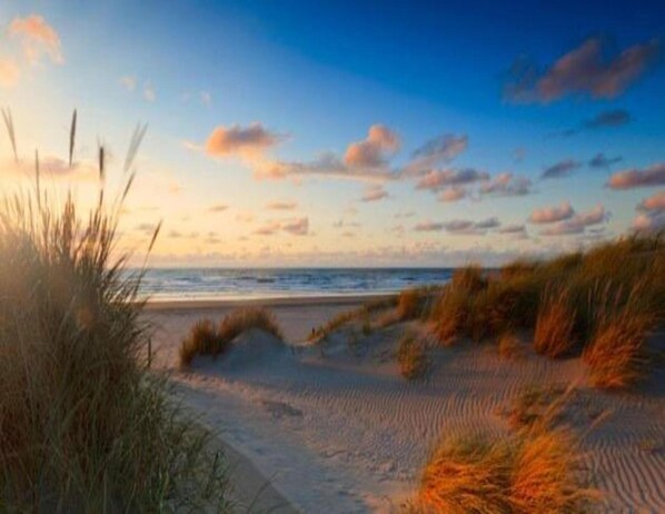 A beach with sand dunes and a clear sky.