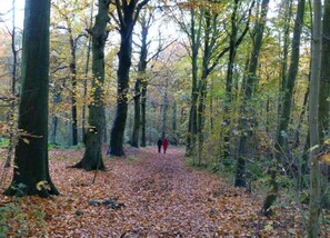 บ้านพัก | วิวจากที่พัก