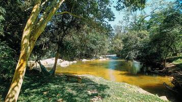 Área da propriedade