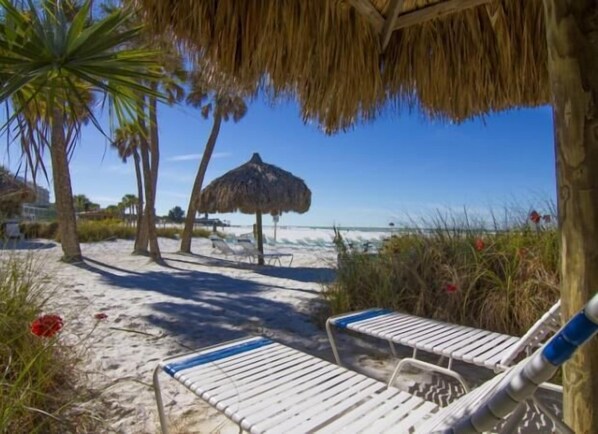 Property grounds - Paradise Awaits: Condo with an ocean view steps from Siesta Key Beach! (Sarasota)