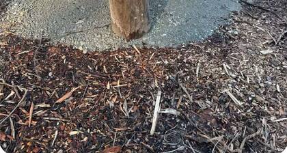 Field Trip Unit 23 A-Frame / Cozy A-Frame with private fire pit