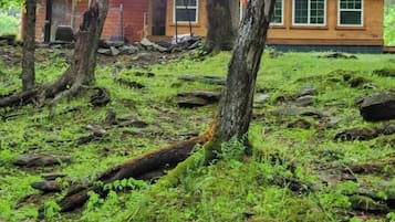 Escape to a secluded cabin nestled among trees and rocks in a tranquil natural setting.