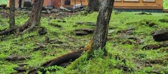 Black Ridge Cabin LLC