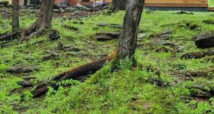 Black Ridge Cabin LLC