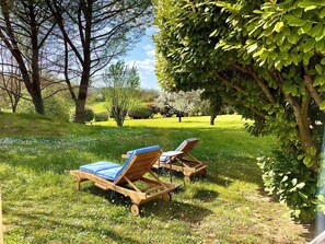 Een tuin met twee houten loungestoelen en een bijzettafeltje, omgeven door weelderige begroeiing en bomen.