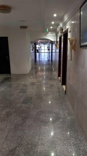 Estudio | Terraza o patio