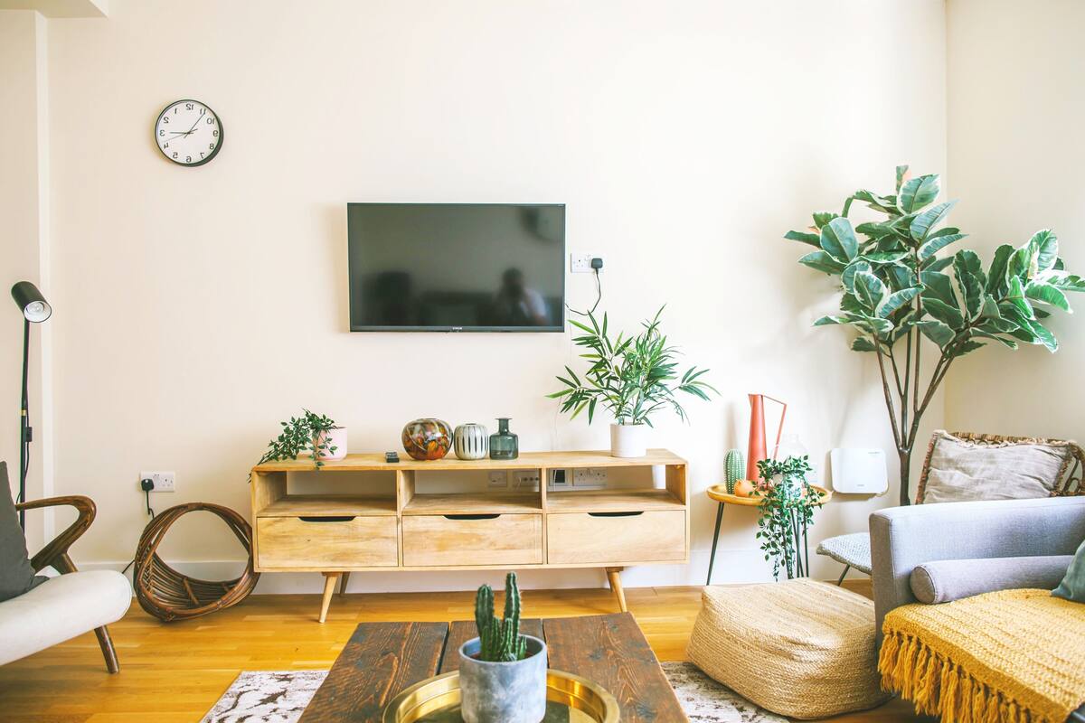 A living room with a wooden entertainment unit, a flat-screen TV, a wicker chair, a sofa, and various plants.