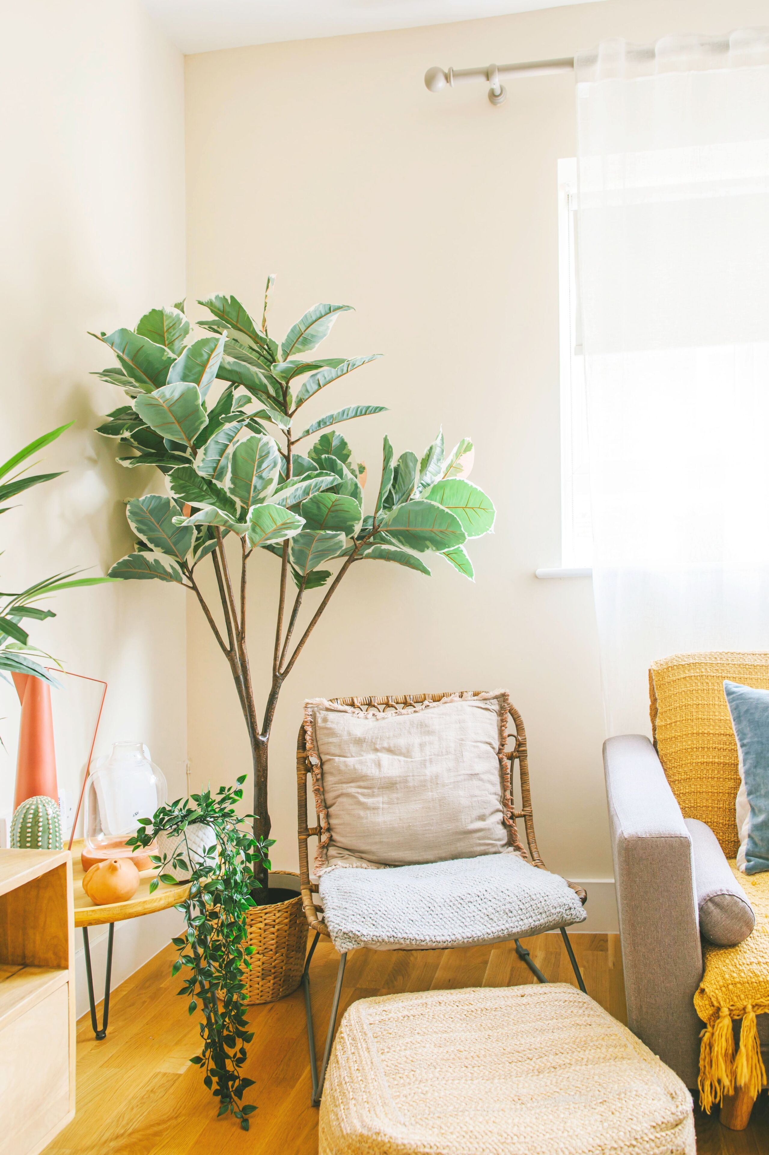 A cozy living room with a large potted plant, a wicker chair, a small ottoman, and a yellow armchair.