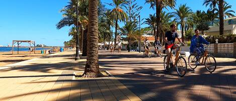 Une promenade pavée bordée de palmiers et de vélos.