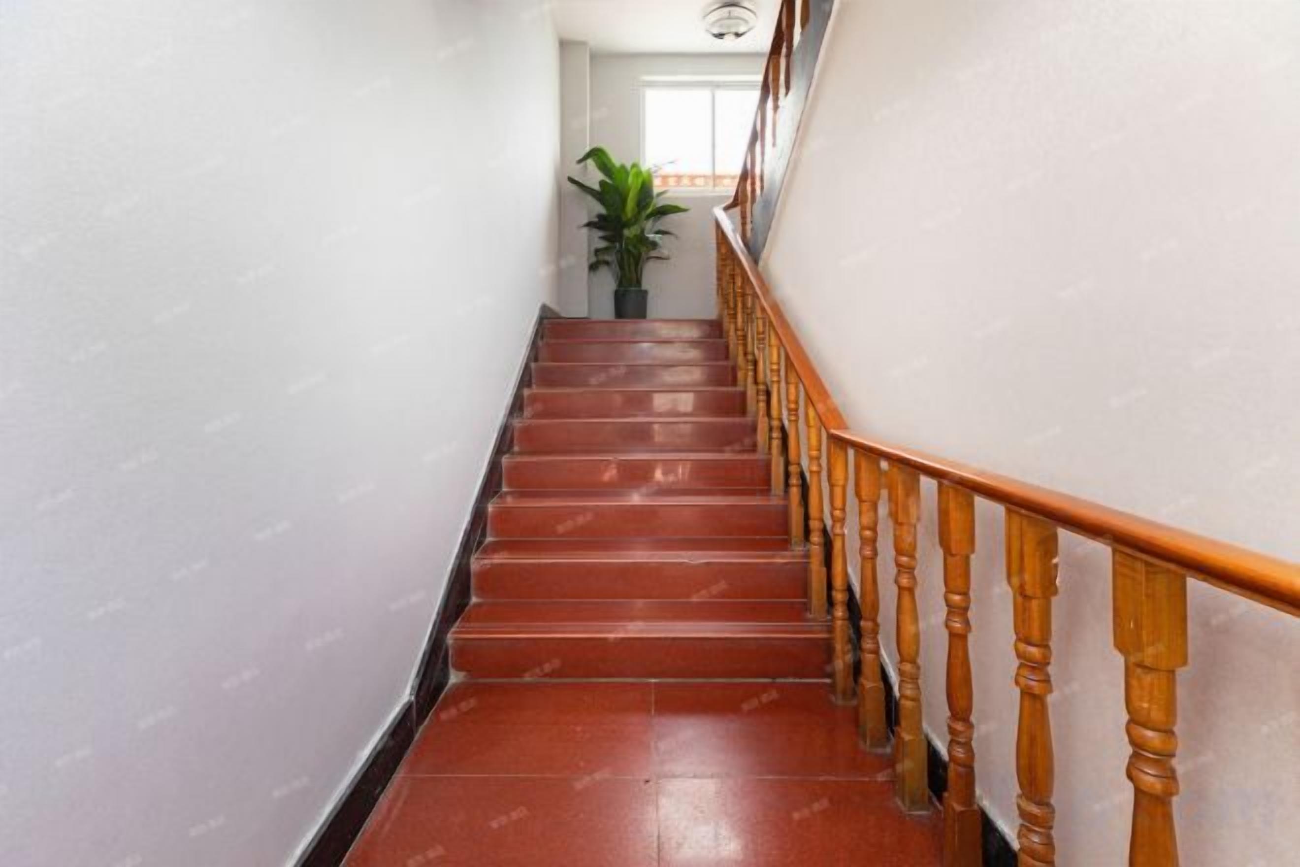 A staircase with wooden handrails and a potted plant at the top.