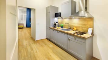 Departamento, 1 habitación, para no fumadores, vista a la ciudad | Cocina privada | Refrigerador con congelador, microondas y parrilla de estufa