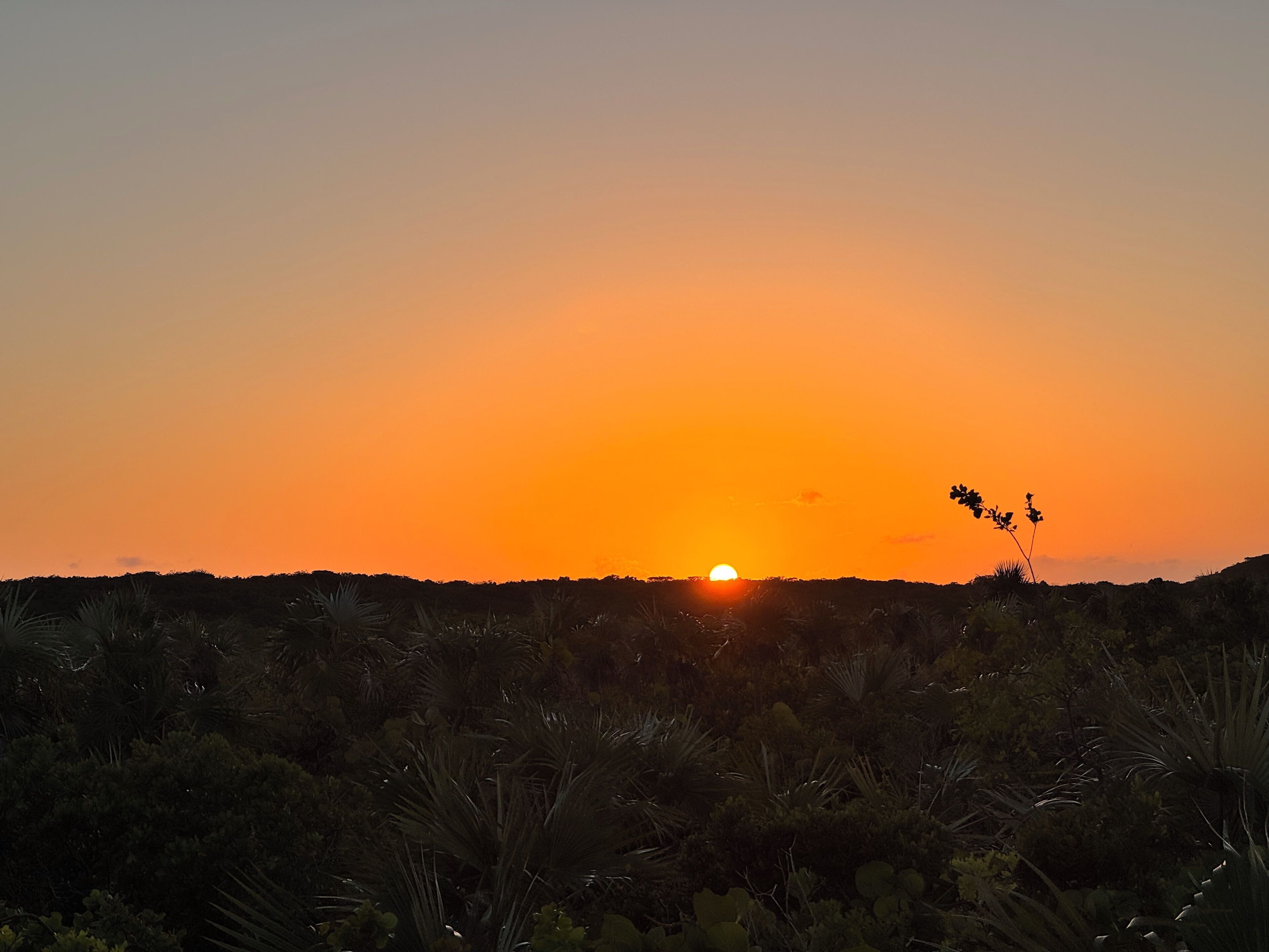 A sunset over a dry, hilly landscape with sparse vegetation.