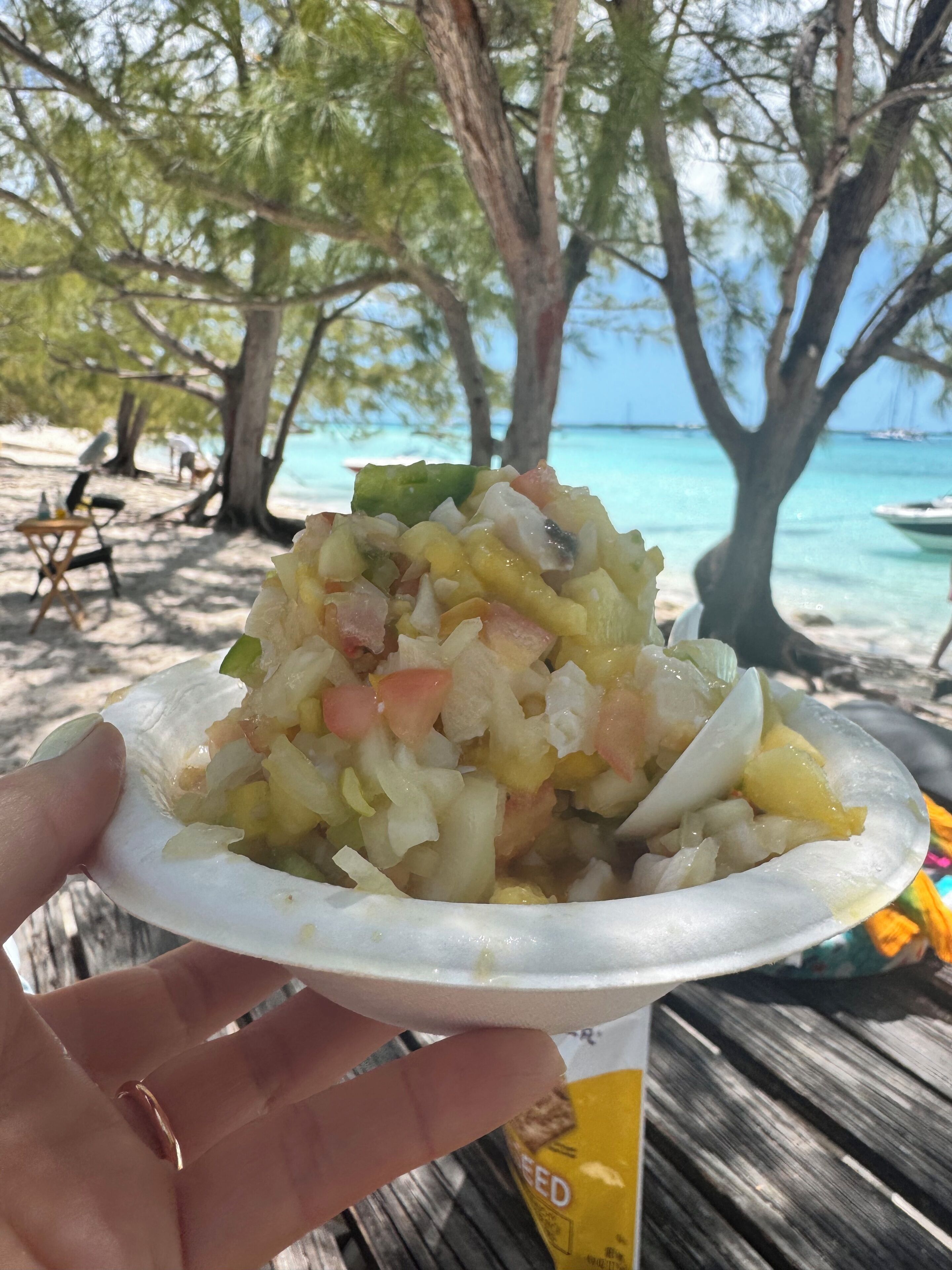 A person holding a plate of food with a beach and ocean in the background.