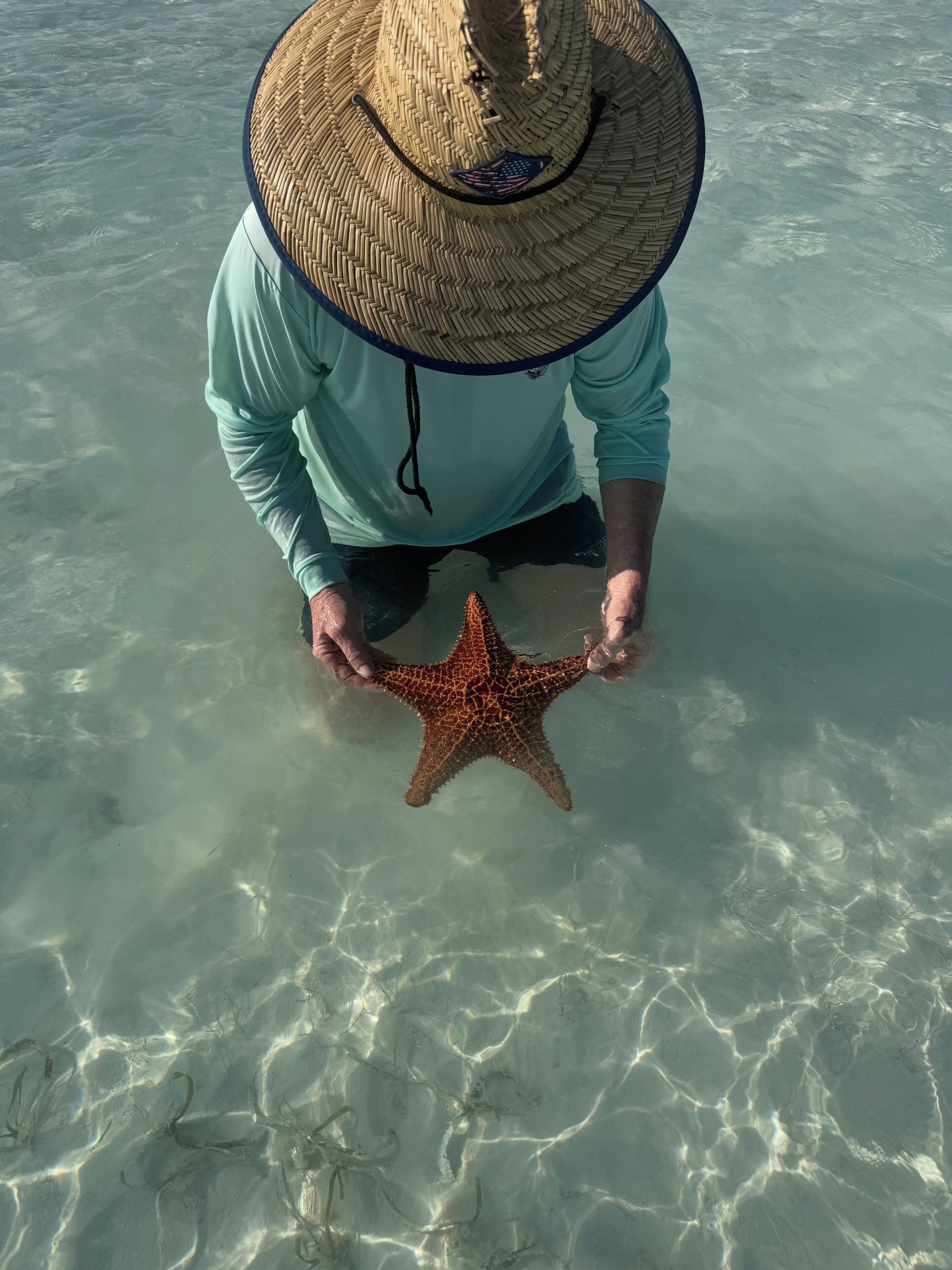 A person holding a starfish in clear shallow water.